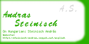 andras steinisch business card